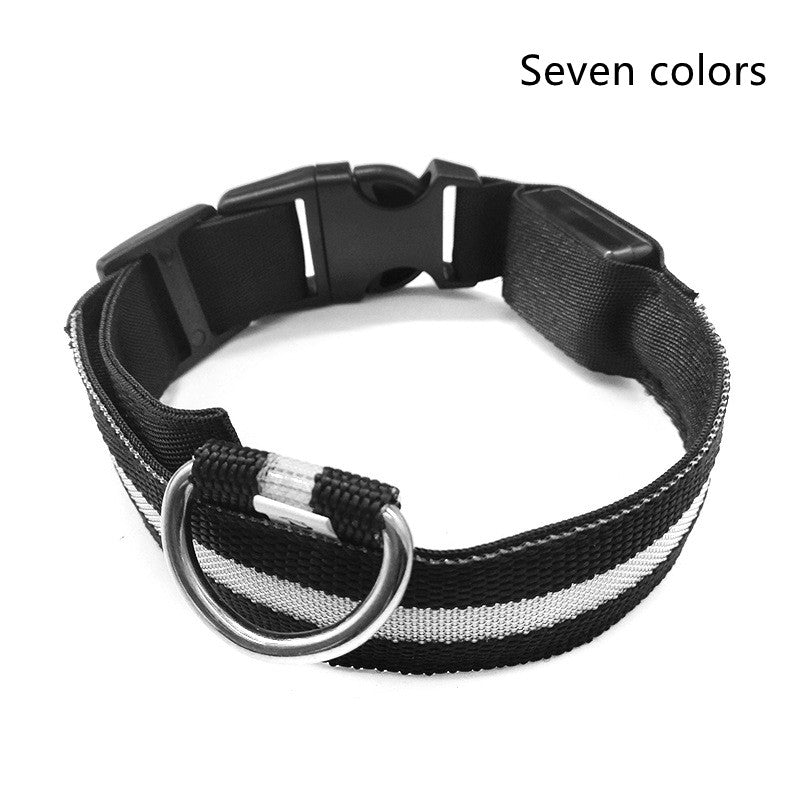 LED light-up dog collar available colours