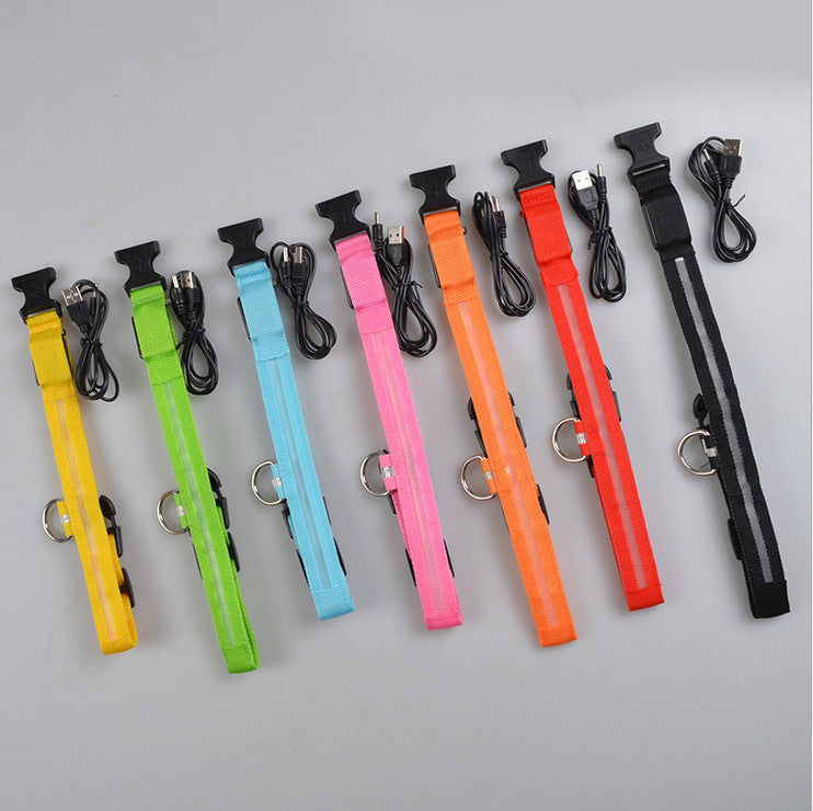 LED light-up dog collar detail