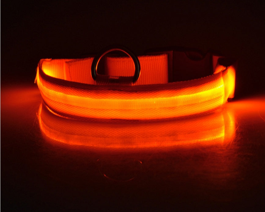 LED light-up dog collar colour option 2