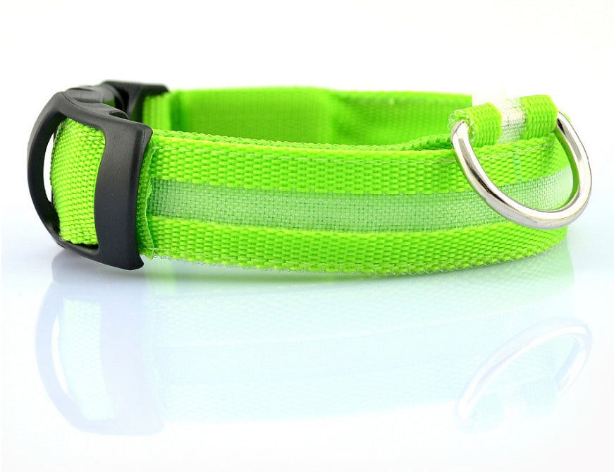 LED light-up dog collar colour option