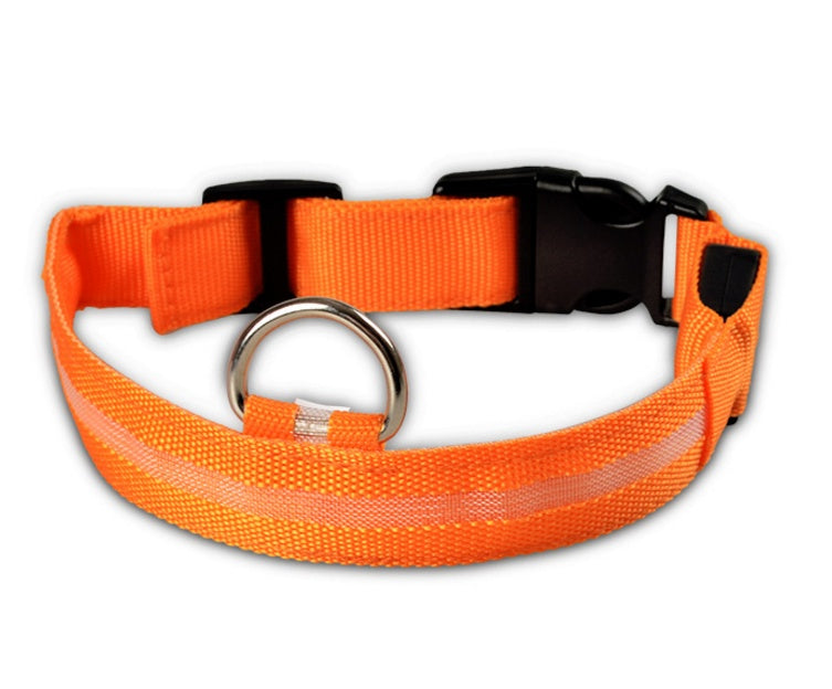 LED light-up dog collar colour option 3