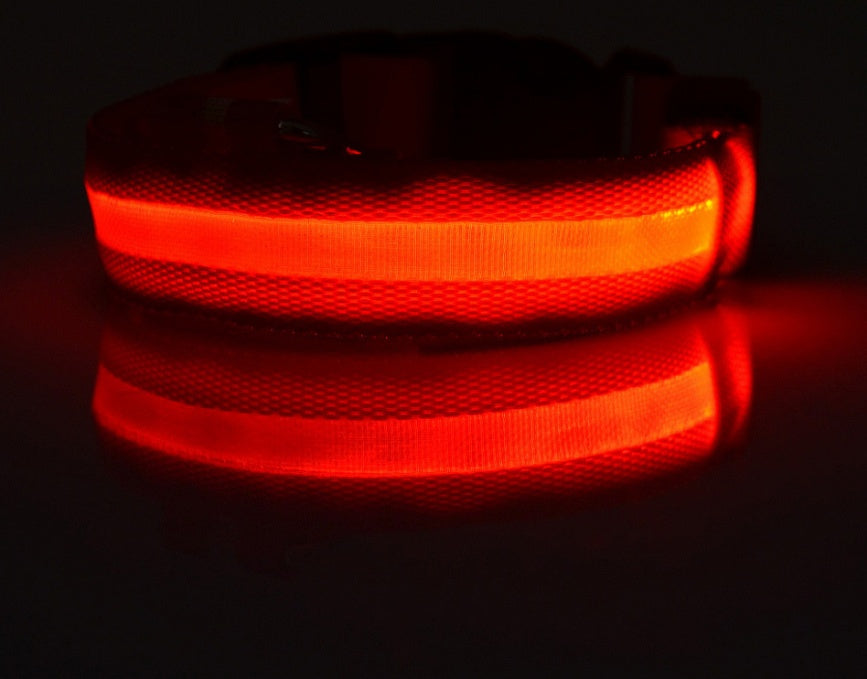 LED light-up dog collar colour option 6