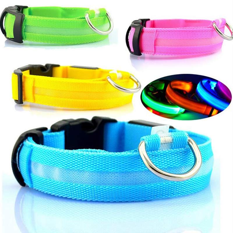 LED light-up dog collar product photo