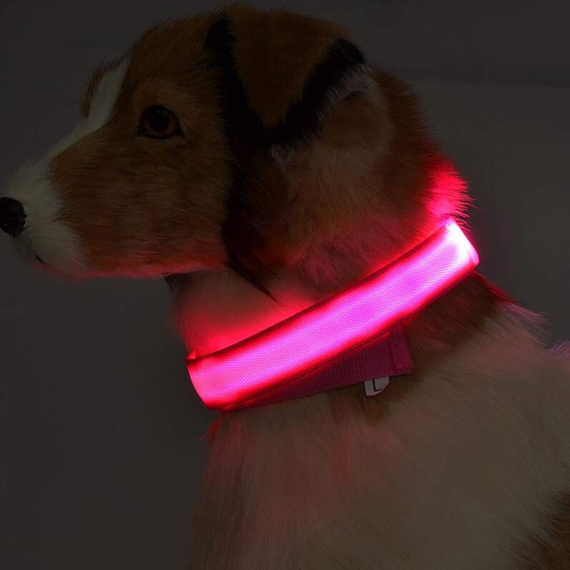 Close-up of the LED light-up dog collar