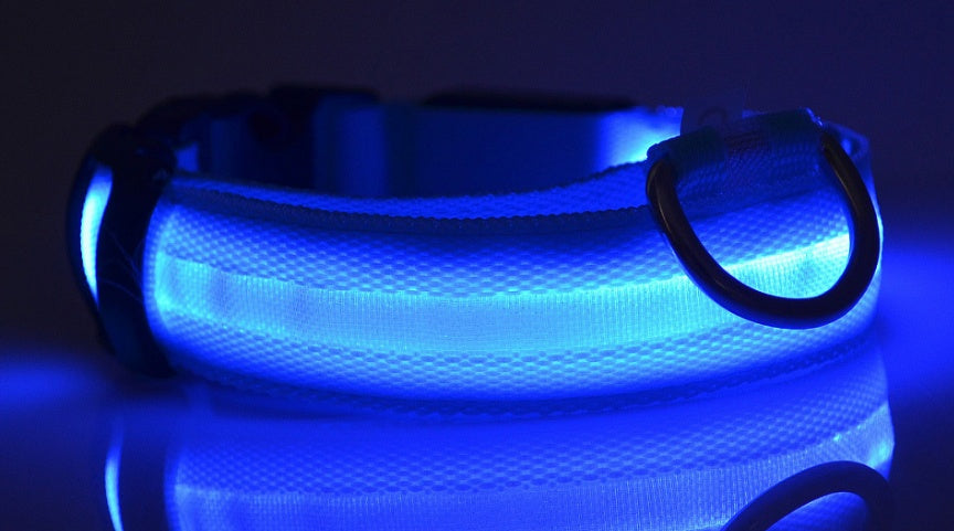LED dog collar light modes
