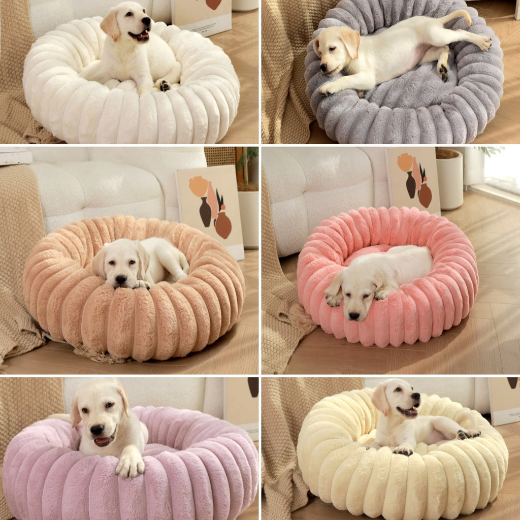 Pet resting in a round plush bed