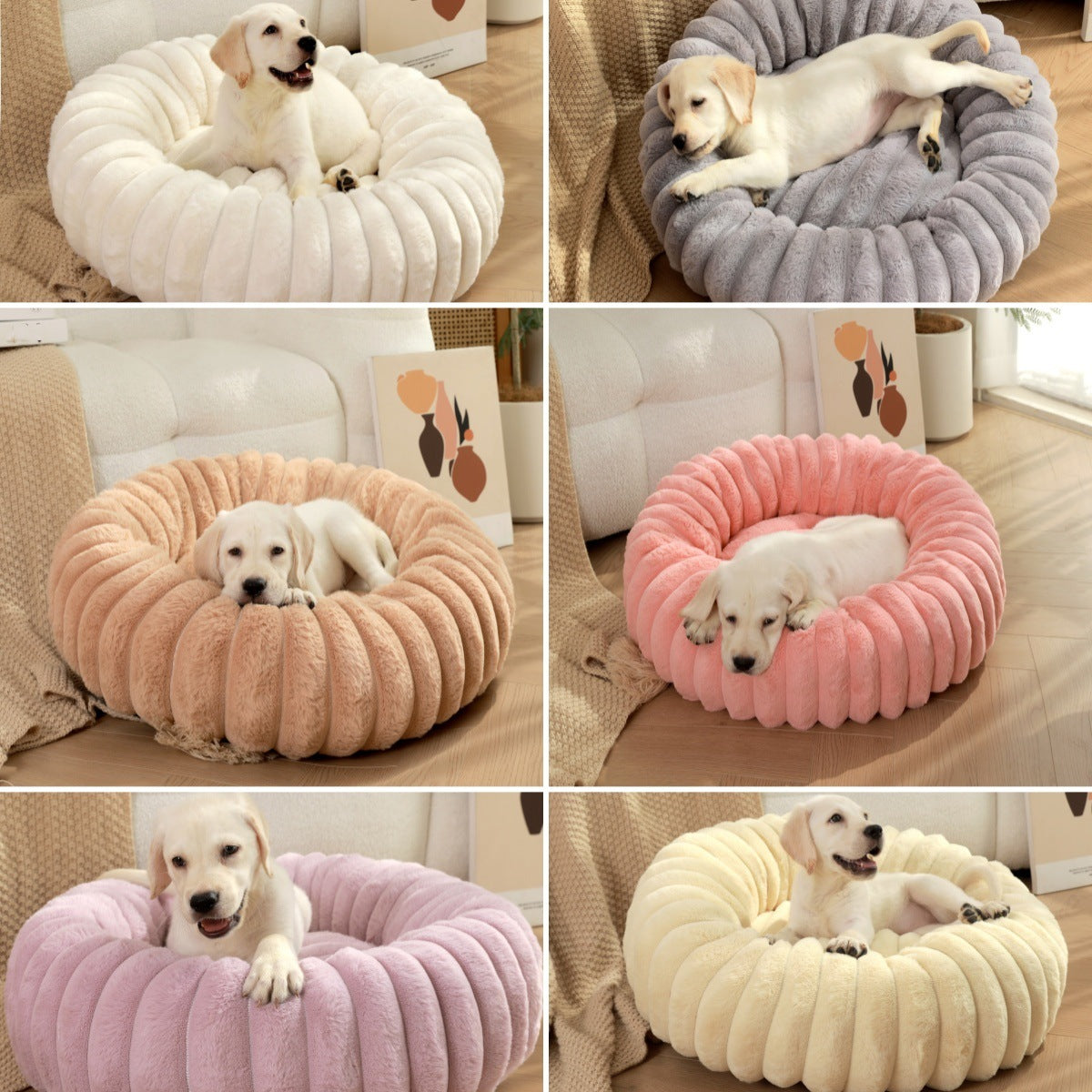 Pet resting in a round plush bed